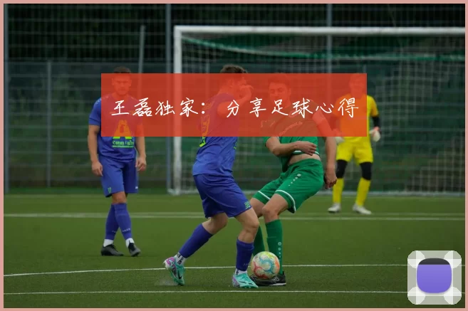 王磊独家：分享足球心得
