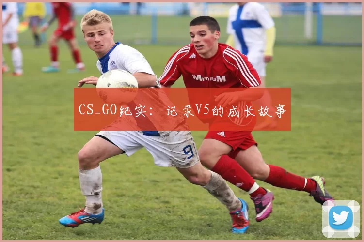 CS_GO纪实：记录V5的成长故事