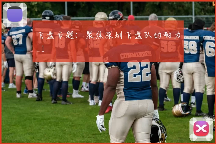 飞盘专题：聚焦深圳飞盘队的耐力_1