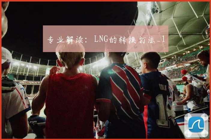 专业解读：LNG的转换打法_1