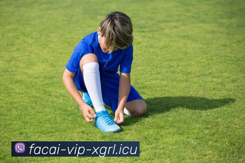 乐鱼体育品牌故事