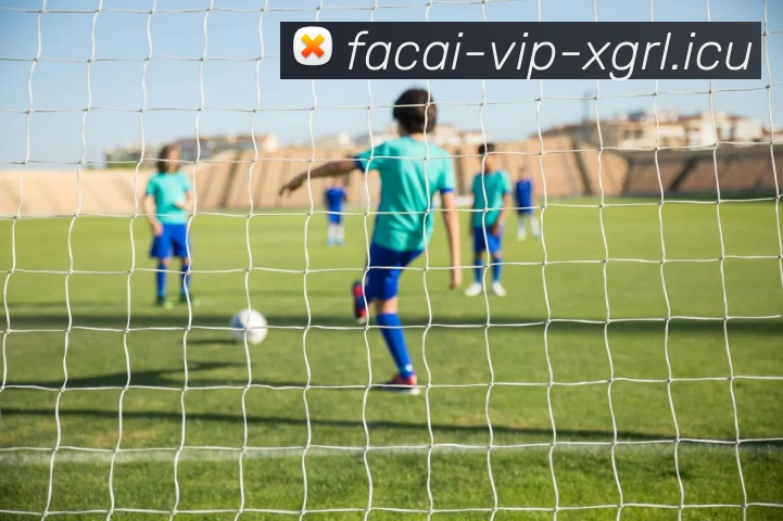 乐鱼体育服务体系